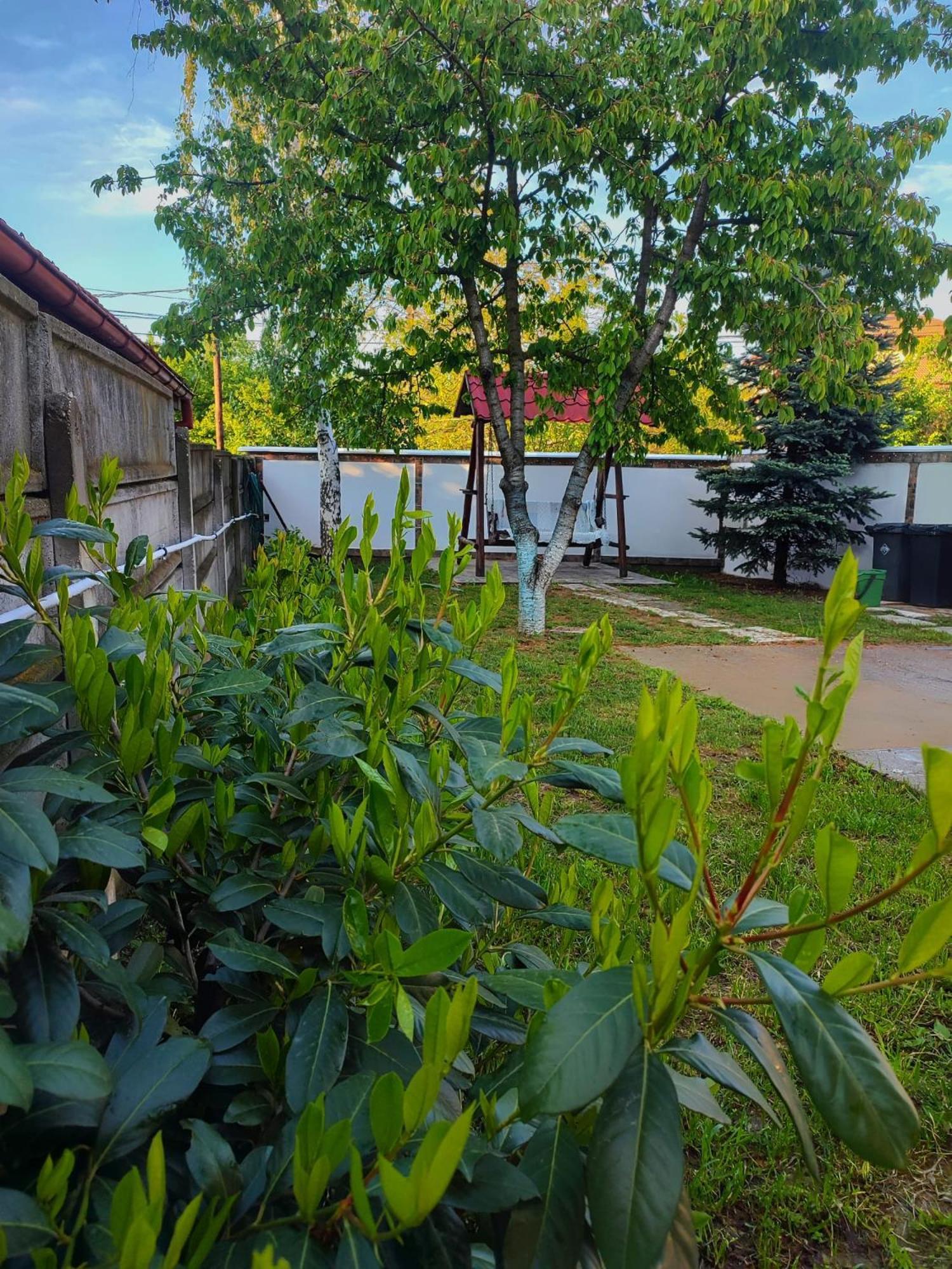 Courtyard Studio Oradea Exterior photo